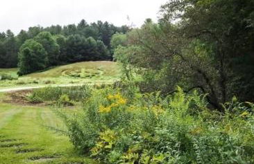 Elegant 7BR Estate with Pool & Hot Tub in Berkshires - Foto 8