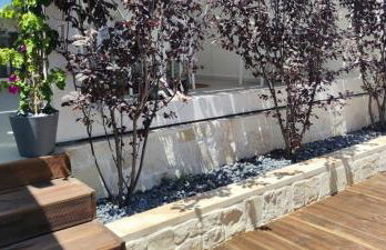 CASA VACANZA ANNA FRANK - CAMPOMARINO di MARUGGIO (TA) - Foto 63