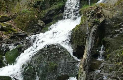 Luxuriöse Penthousewohnung mit Fernblick und vielen Wanderwegen - Foto 29