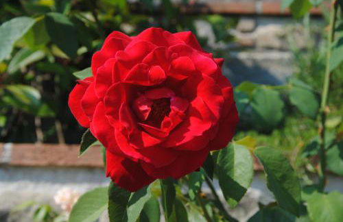 Agriturismo Tenuta La Fratta - Foto 61