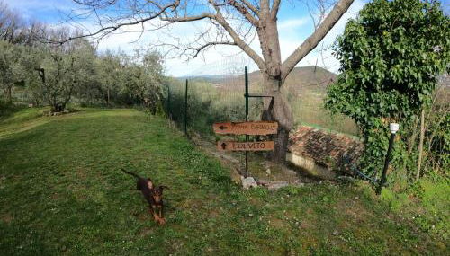 Casa degli Ulivi - Foto 5, Garden