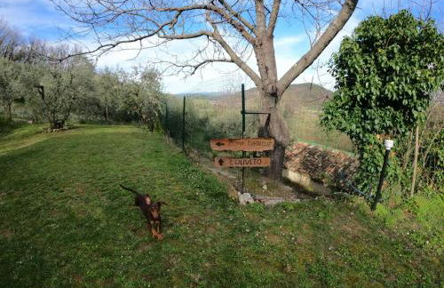 Casa degli Ulivi - Foto 5