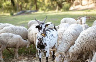 Verde Água Agroturismo e Agricultura Biológica - Photo 15