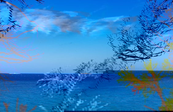 Independent Villa With Private Pool, Covered Parking - Foto 18