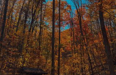 Summer Breeze cabin at Cabin Fever in NC - Foto 25