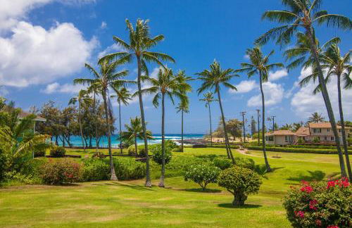 Manualoha 303 - Foto 31