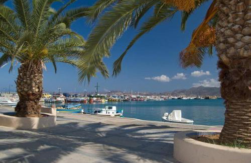 Bougainvillea House in Crete - Foto 37