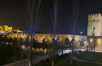 Albolafia junto Puente Romano - Foto 44