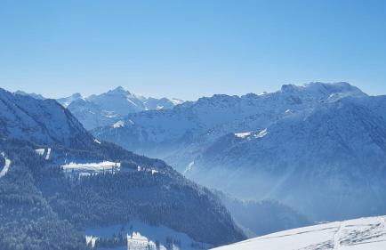 Ferienwohnung Alpenvogel - Foto 28