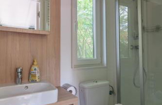 Iguana - Das Tiny Haus am Reptilienzoo Reptilium - Foto 35