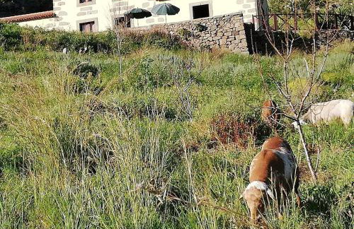 Casa Rural Las Caldereras - Foto 27