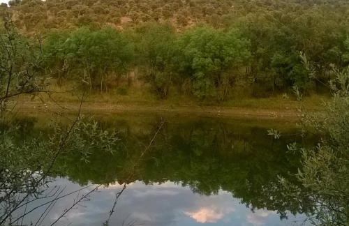 Los Alisos Casa Rural - Foto 63