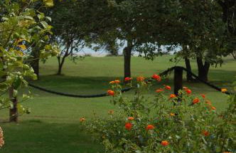 Residence Scopa Marina - Foto 7