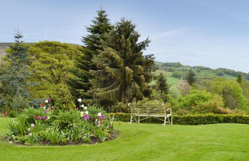 Cotton Cottage - Foto 11