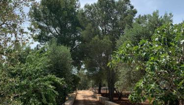 Il Trullo di Francesca - Foto 2