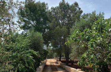 Il Trullo di Francesca - Foto 2