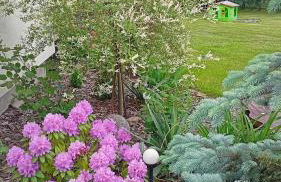 Mogielicki Zakątek - Photo 14