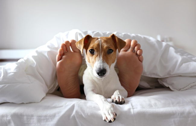 Gomila Palma Apartments - New Opening - Photo 34