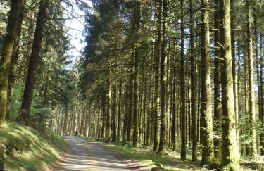 Villa Cora Venez neuve avec SPA - Foto 45