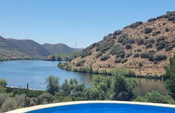 Olhares do Douro - Foto 39