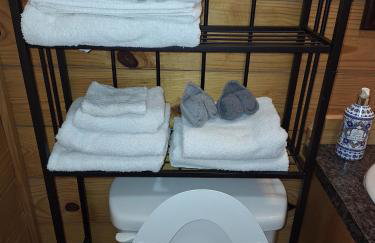 Cozy Cabin near Dove Ridge Winery and Lake Weatherford - Photo 9