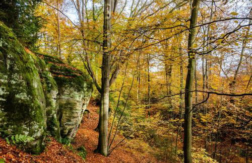 Gästezimmer für 3 Personen - Foto 31
