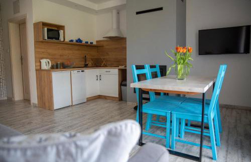 APARTAMENTY ZAZAMCZE - Foto 16