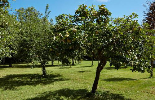 Casale Cenerelli - Foto 5