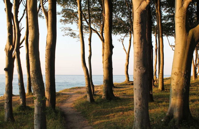 Ferienwohnung, Nienhagen - Foto 12