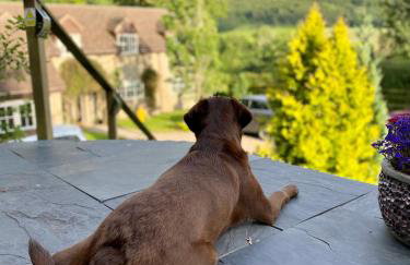 Quarry House - Foto 19