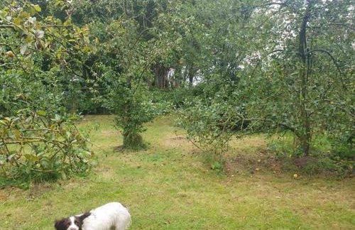 Nature Charm & Fruit Delights, multi-generation celebratory home -Try, Relax, Repeat - Sellindge - Foto 11