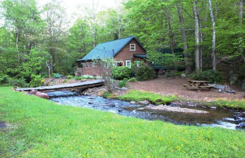 Roaring Creek - Photo 23