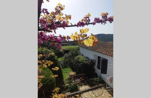 ESTUDIO RENOVADO CON BALCON PRIVADO Y COCINA vistas al mar TAMARIU y BEGUR - Foto 25