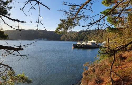 Gites de lardanva - Foto 42