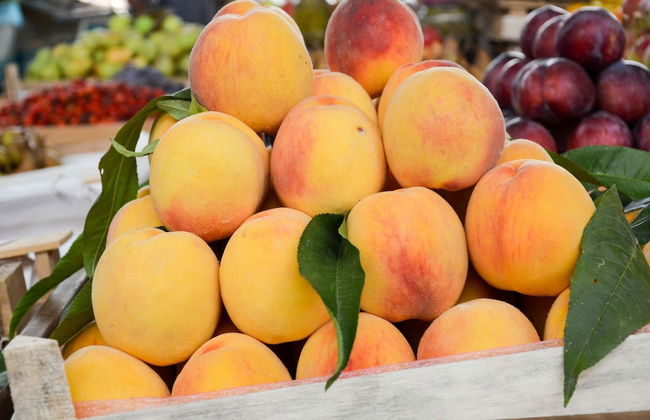 Quality Apartment Miletičova - Foto 49