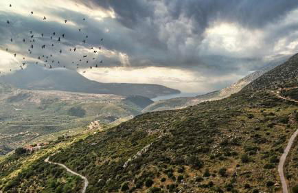 Tutti Fruti - Foto 7