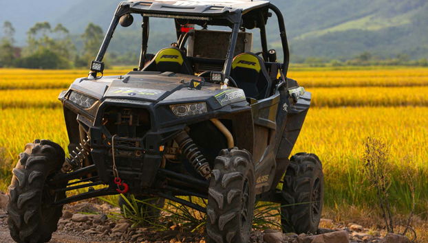 These all-terrain vehicles will take you to new sites