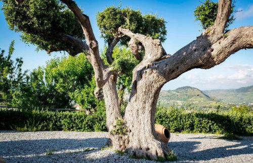 Tenuta Pietravera - Foto 16