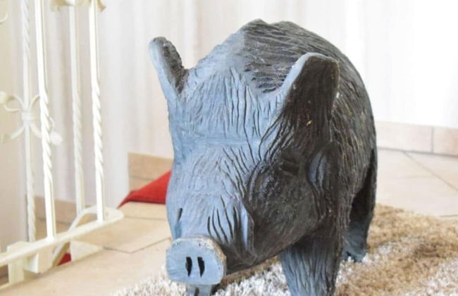 Schroder at the Aerie - Foto 12