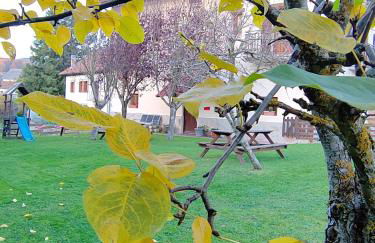 Apartamentos Goizeder - Foto 8