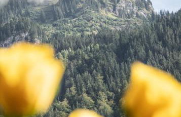 Neu! Sonnige Terrassen-Ferienwohnung in den Bergen - Foto 14