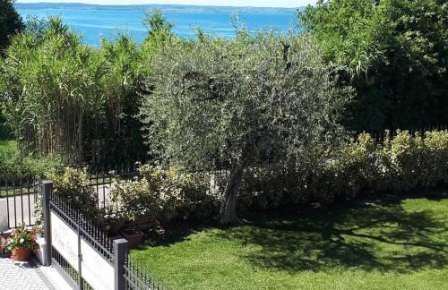 Agriturismo La Rocca - Foto 14