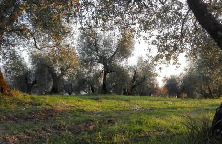 La Fornella dell'Anita - Foto 24