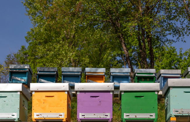 Agriturismo Borgo il Mezzanino - Foto 45