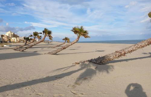 Saint Laurent de la Salanque Charmant T2 classé 3 étoiles - Foto 25