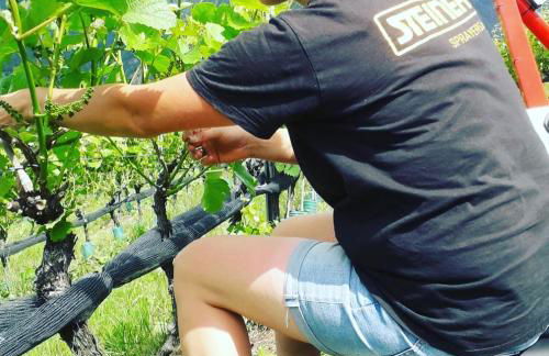 Moar am Ort - Foto 49