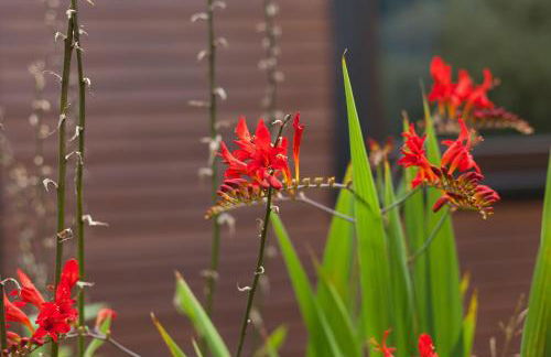 Ferienhaus Heideland Winsen Aller - Foto 25