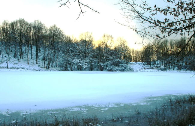 Apartment in Deudesfeld With Private Terrace - Foto 32