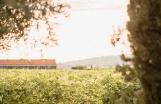 Dimora Buglioni Wine Relais - Foto 80