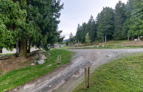 Les sapins 1 - Foto 23